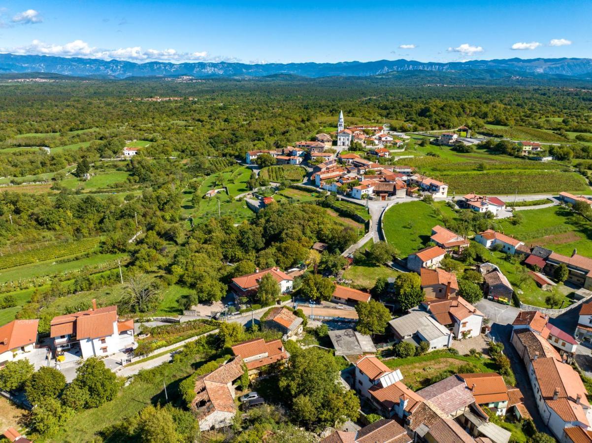 Karst House Zan Pliskovica With Private Pool Villa Dutovlje Eksteriør bilde
